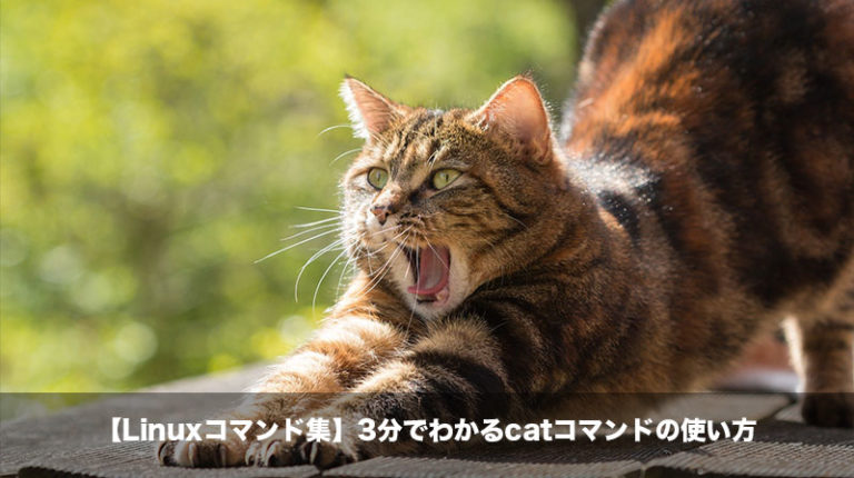 2023-05-12-14-53-03 截图
