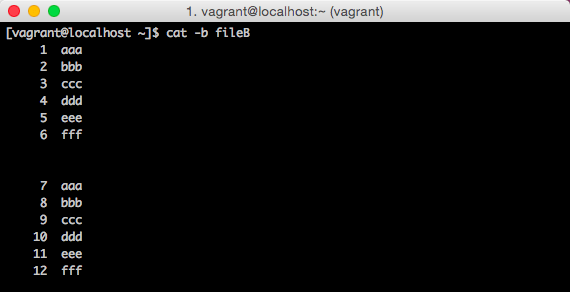 linux_cat_command06