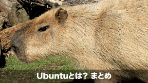 ubuntuとは