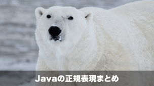 Javaの正規表現