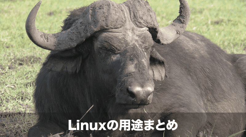 Linuxの用途