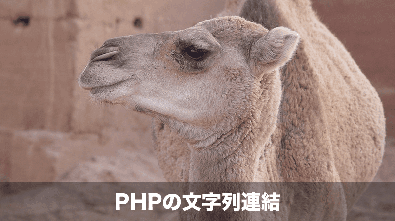 PHP文字列連結