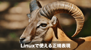 linuxで使える正規表現