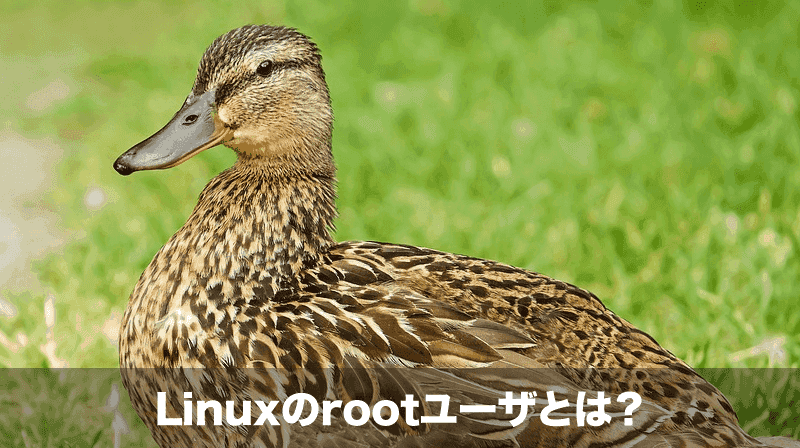 rootユーザとは