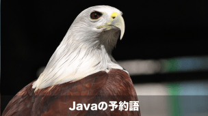 Java予約語