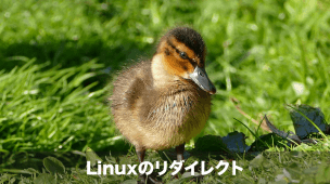 Linuxのリダイレクト