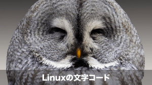 linuxの文字コード