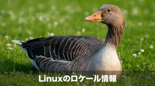 linux ロケール情報