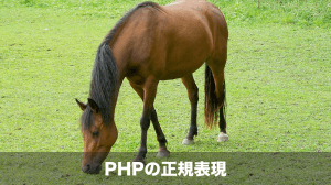 PHPの正規表現