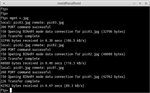 ftpコマンドについて詳しくまとめました 【Linuxコマンド集】