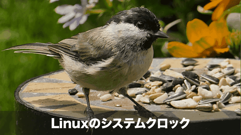 Linuxのシステムクロック