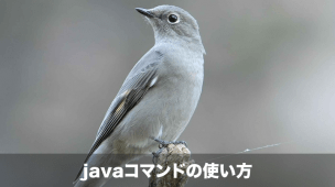 Javaコマンド
