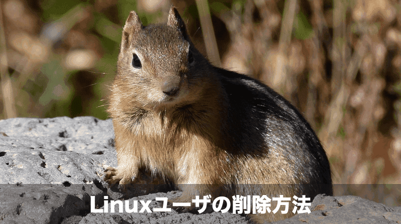 linuxユーザの削除方法