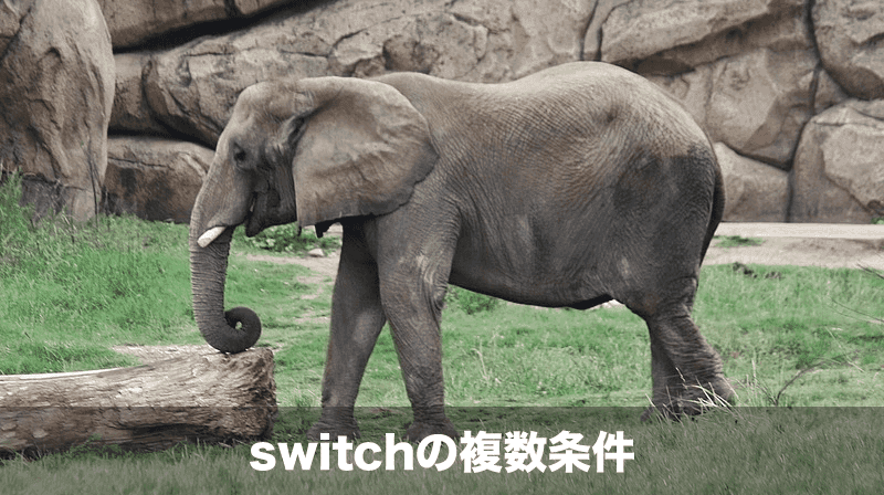 Java入門 Switchで一度に複数の条件を設定する方法