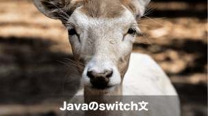 javaのswitch