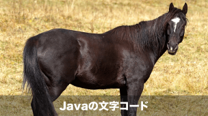 Javaの文字コード