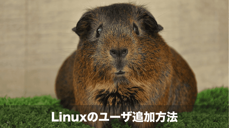 Linuxユーザの追加方法
