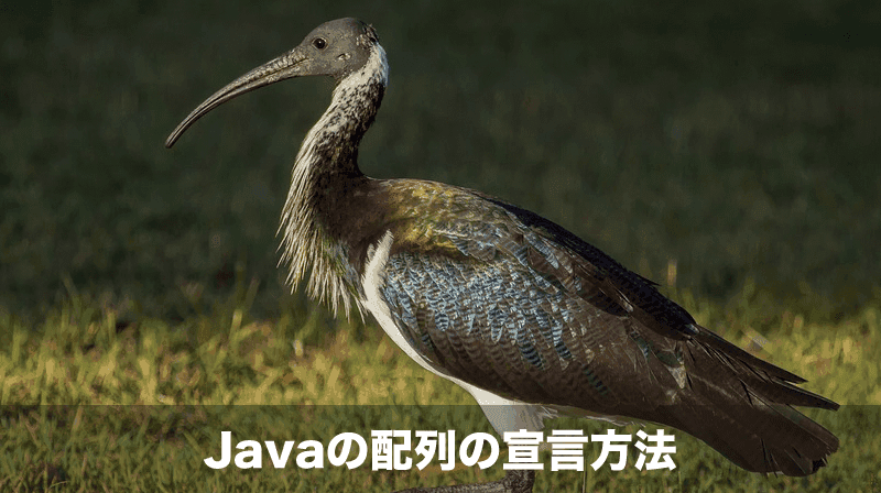 Javaの配列の宣言方法