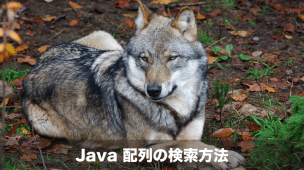 Java 配列の検索方法