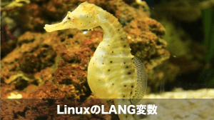 linux lang変数