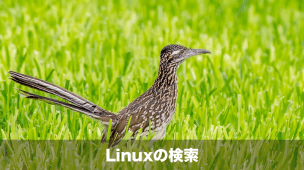 linuxの検索方法