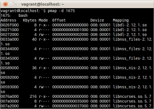 pmapコマンドについて詳しくまとめました 【Linuxコマンド集】