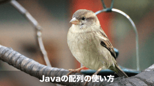 Javaの配列の使い方