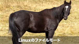 linuxのファイルモード
