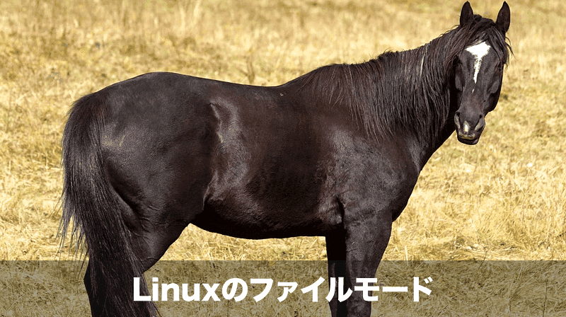 linuxのファイルモード