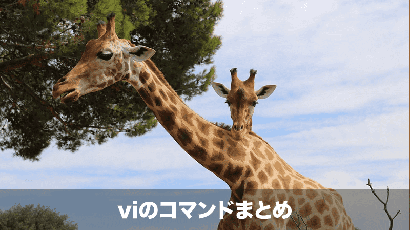 viのコマンドまとめ