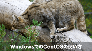 WindowsでのCentOSの使い方
