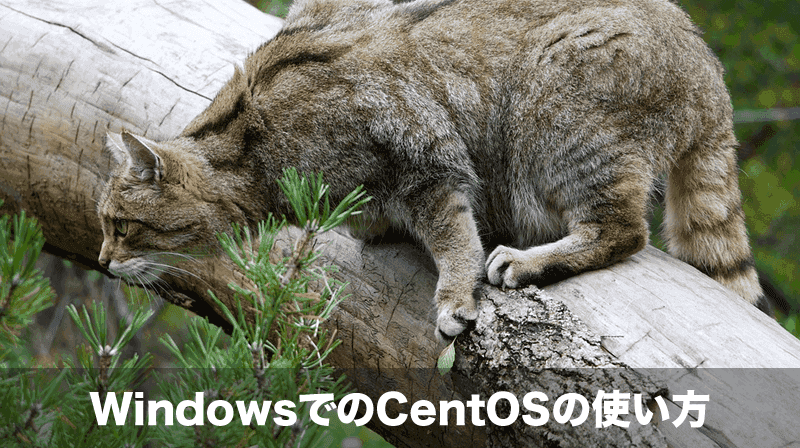WindowsでのCentOSの使い方