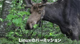 linuxのパーミッション