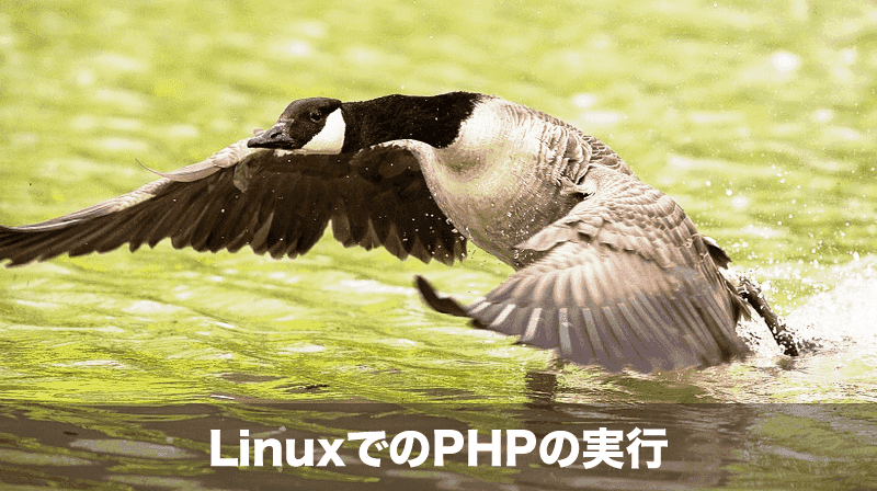 linuxでのphpの実行