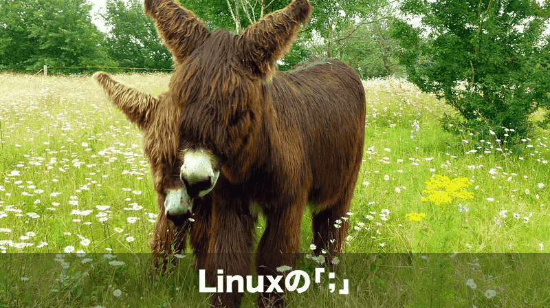 linuxの「;」