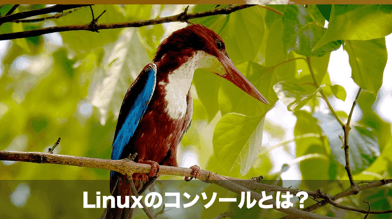 Linuxのコンソールとは