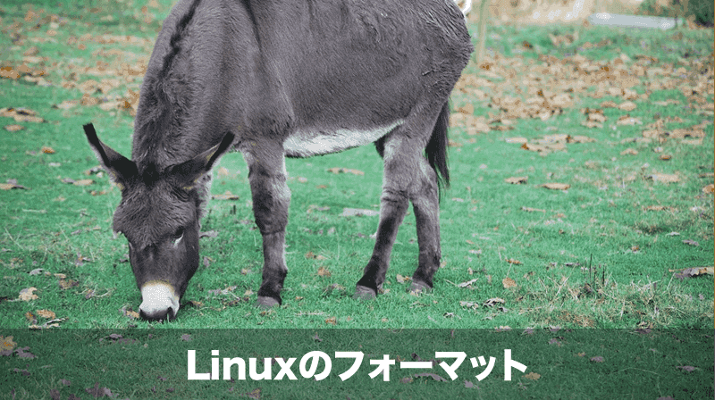 linuxのフォーマット