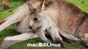 mac風のLinuxディストリビューション