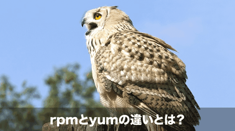【初心者にもわかる】rpmとyumの違いと使い分け一通り
