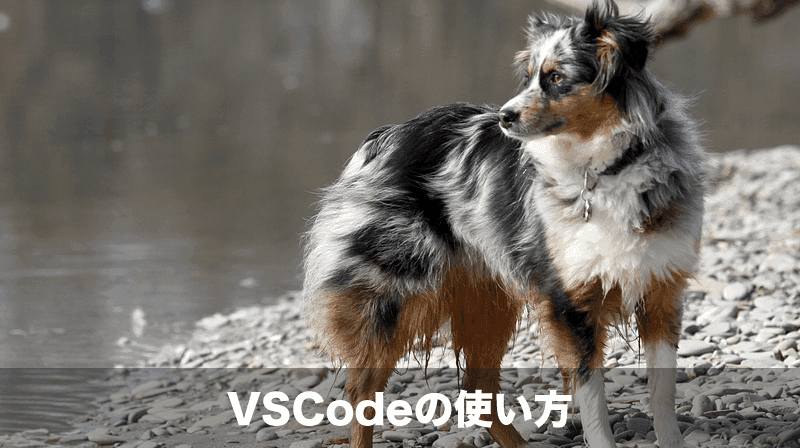 vscodeの使い方