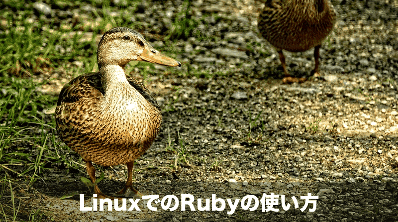 linux-ruby