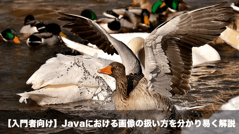 入門者向け Javaにおける画像の扱い方を分かり易く解説